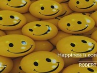 Quoteagious Happiness INS-HAPPY01-026-00026